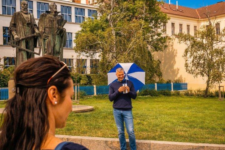 Prague: Visite du château d'une heure avec billet d'entrée Fast-GET
