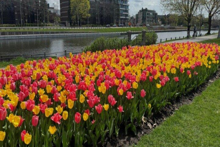 オタワ市内ハイライト グループツアー ミニバス