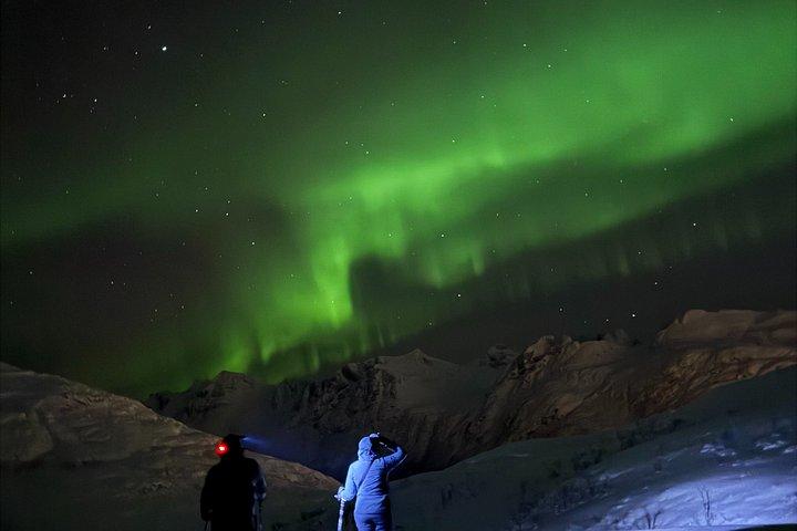 Tromso Private Snowshoe Adventure