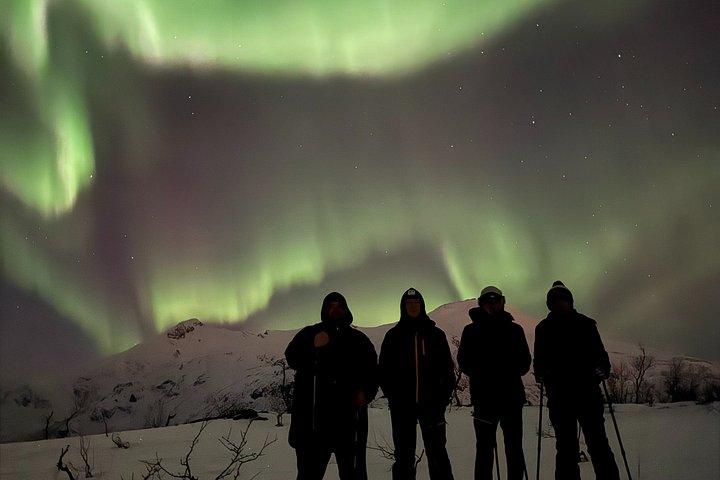 Tromso Private Snowshoe Adventure