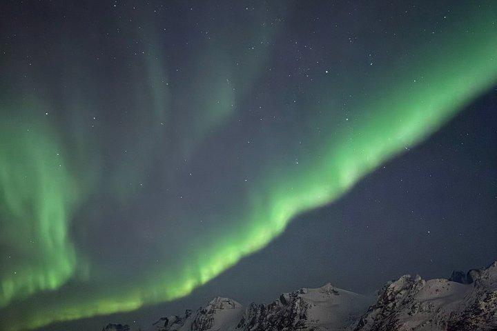 Tromso Private Snowshoe Adventure