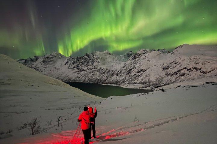 Tromso Private Snow Shoe Adventure