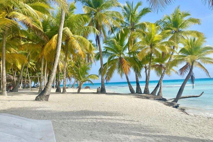 Full Day Excursion Isla Saona Lunch and Natural poor
