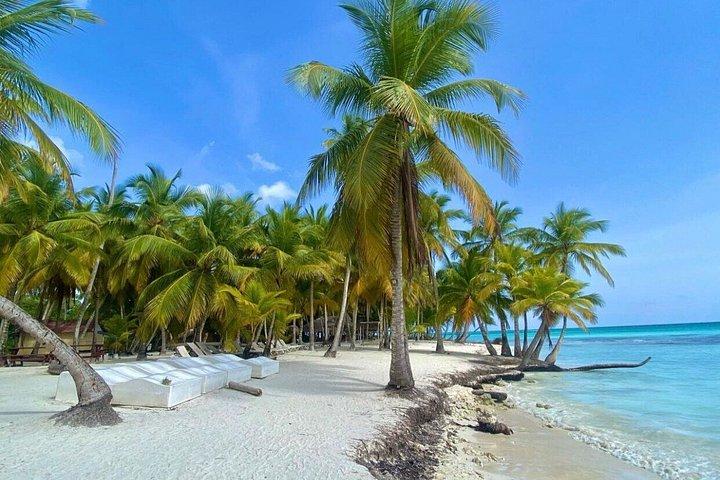 Full Day Excursion Isla Saona Lunch and Natural poor