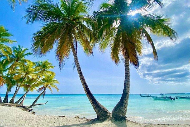 Full Day Excursion Isla Saona Lunch and Natural poor