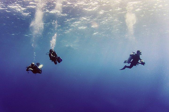 Tauchen in Budva : Bootserlebnis & Unterwassertunnel