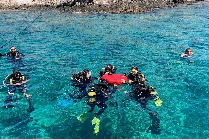 Tauchen in Budva : Bootserlebnis & Unterwassertunnel