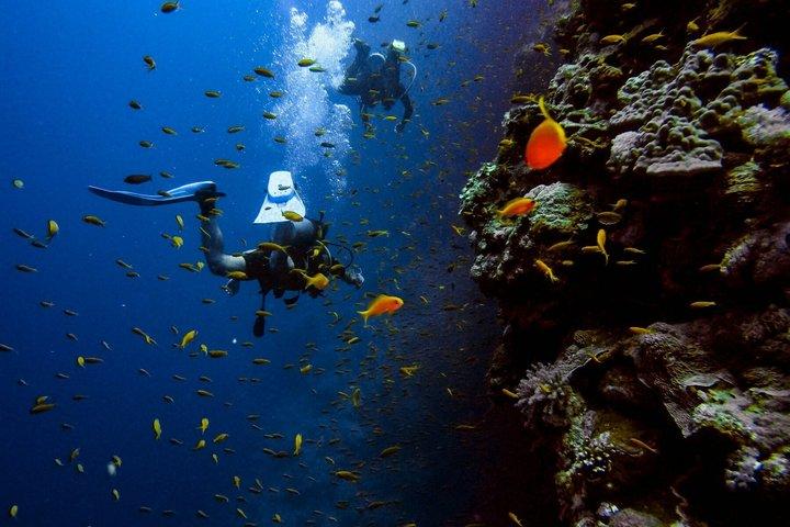 Probeer Duiken in Budva : Bootervaring & Onderwatertunnels