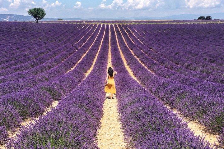 Verdonschlucht und Provence Private Sightseeing Tour