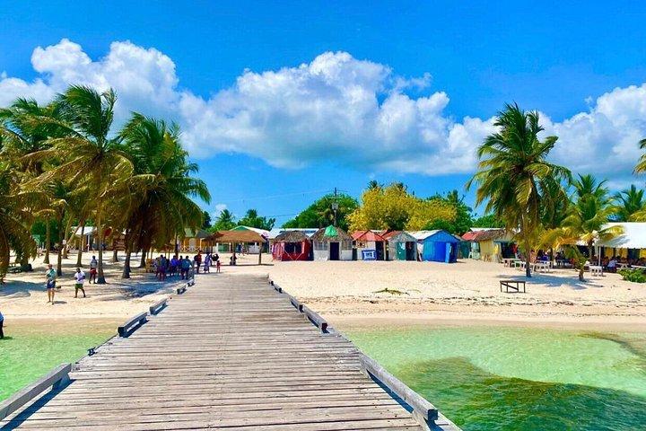 Full Day Excursion Isla Saona Lunch and Natural poor
