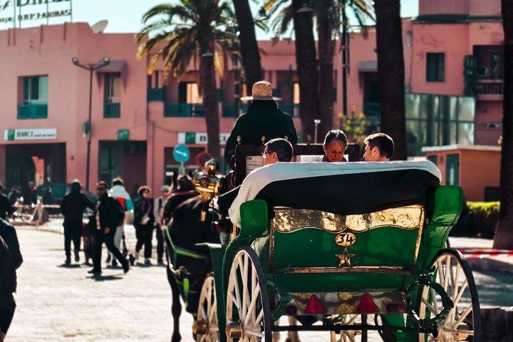 Marrakech : Media Jornada de Medina - Descubre la Historia de la Ciudad