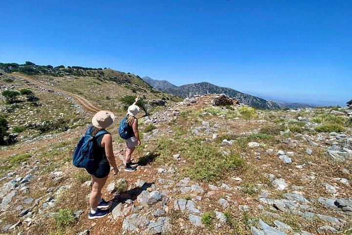 クレタ島 : Kroustas Forest Guided Hiking & Beach Swim