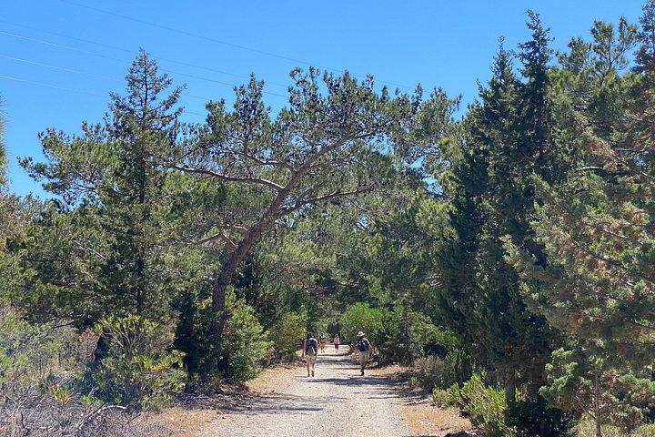 クレタ島 : Kroustas Forest Guided Hiking & Beach Swim