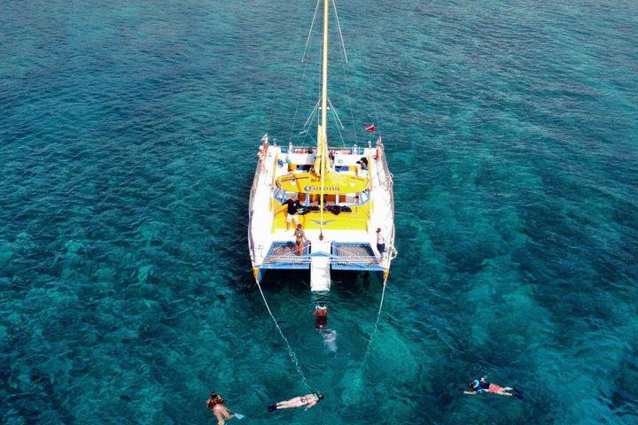 2 horas de natación, snorkel y vela (Kewalo Harbor)