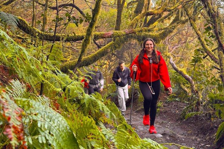 Anaga-Gebirge und Zauberwald, Teneriffa Wandertour