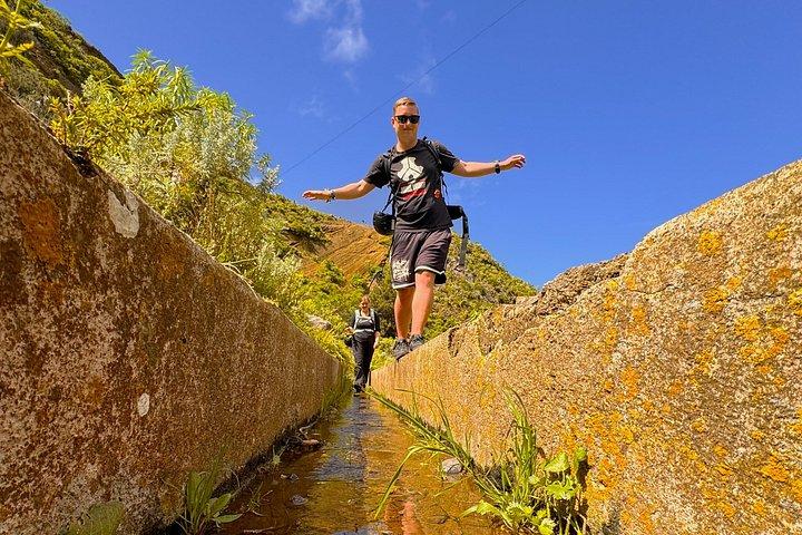 アナガ山脈と魅惑の森、テネリフェハイキングツアー