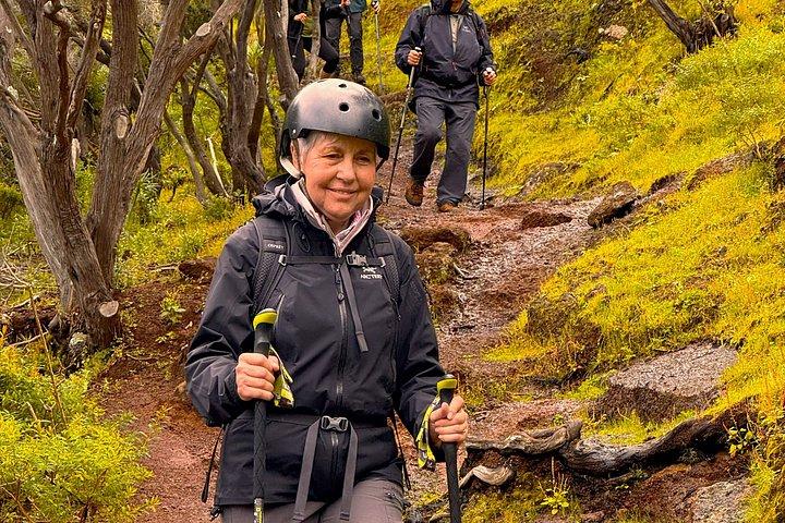 アナガ山脈と魅惑の森、テネリフェハイキングツアー