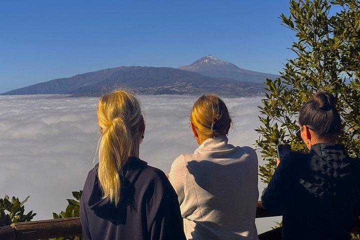 アナガ山脈と魅惑の森、テネリフェハイキングツアー