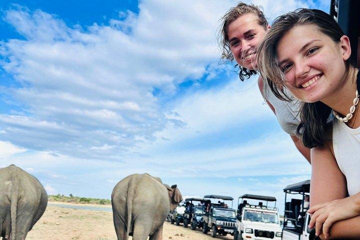 Safari tours in Udawalawa
