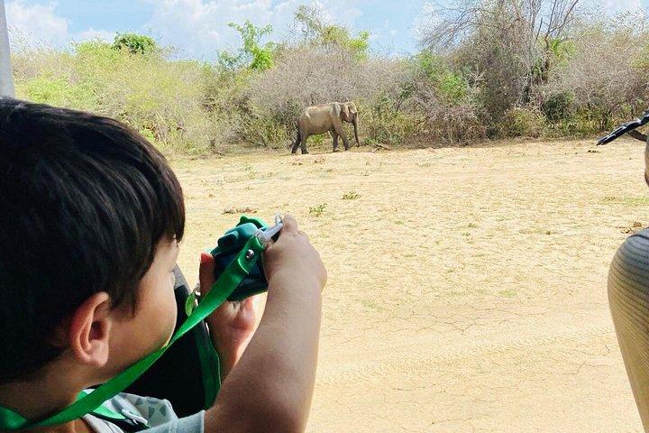 Safari tours in Udawalawa