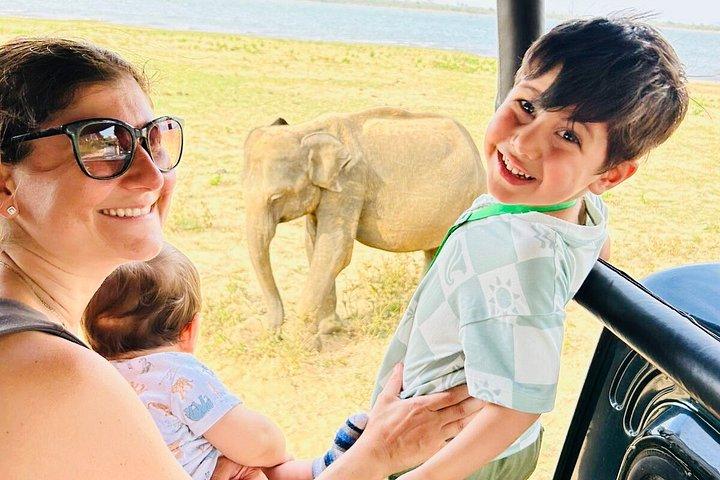 Safari tours in Udawalawa
