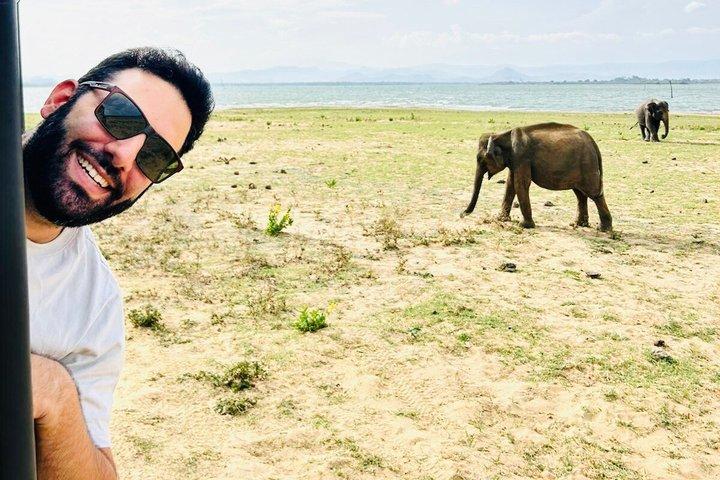 Safari tours in Udawalawa