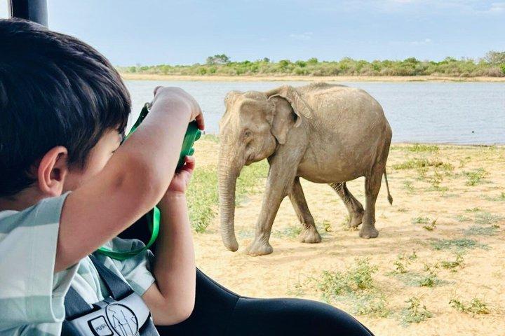 Safari tours in Udawalawa