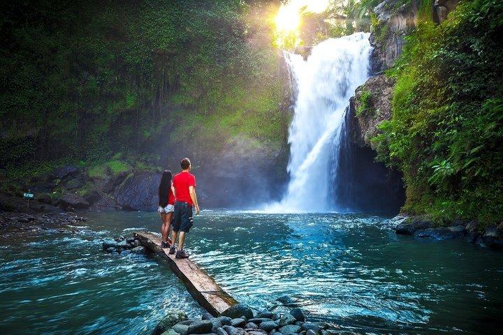 Bali : Ubud Tour-Waterfall, Floresta de Macaco, Terraço de Arroz e Templo