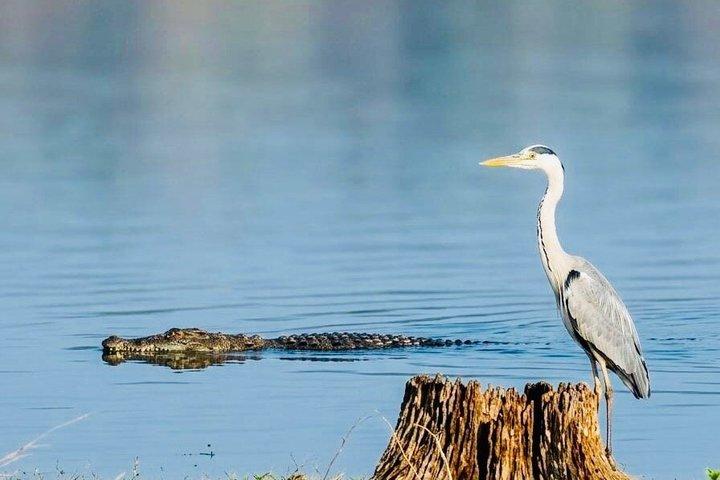 Safari tours in Udawalawa