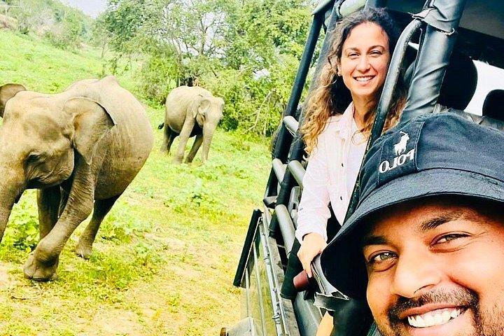 Safari tours in Udawalawa