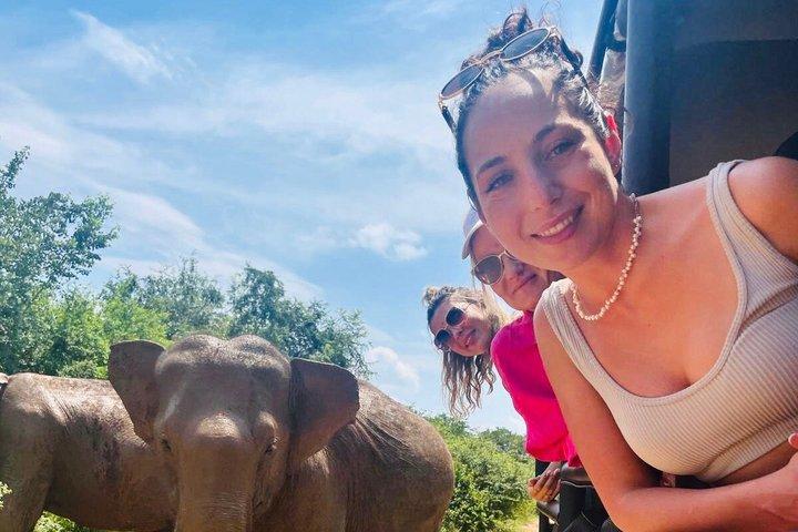 Safari tours in Udawalawa