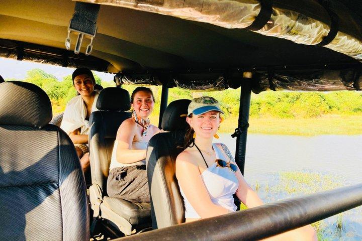 Safari tours in Udawalawa
