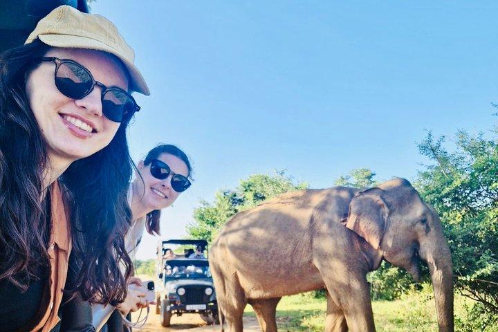 Safari tours in Udawalawa