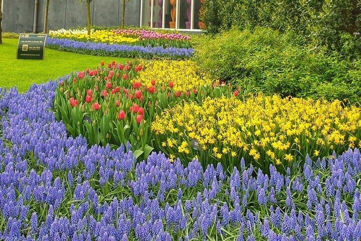 Keukenhof Tulip Tour Petit Groupe Moulins à vent cachés et Delft