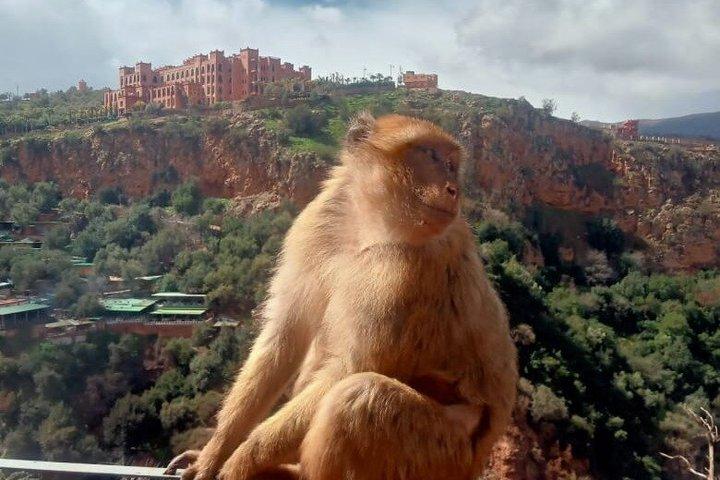 ウーズードの滝への日帰り旅行