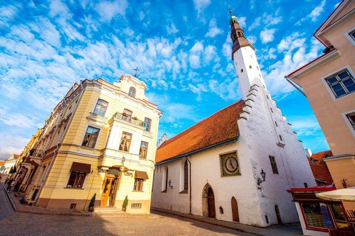Deluxe Cruise Friendly Tallinn Tour from Port including Free Time