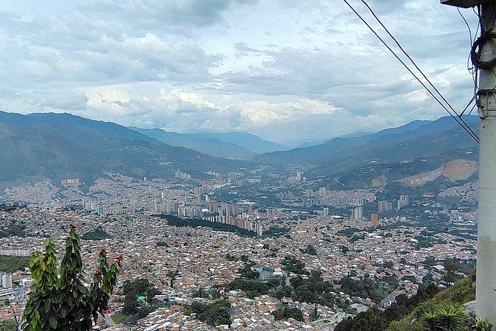 Expedition Cerro El Picacho Vista 360° Nature and local flavor