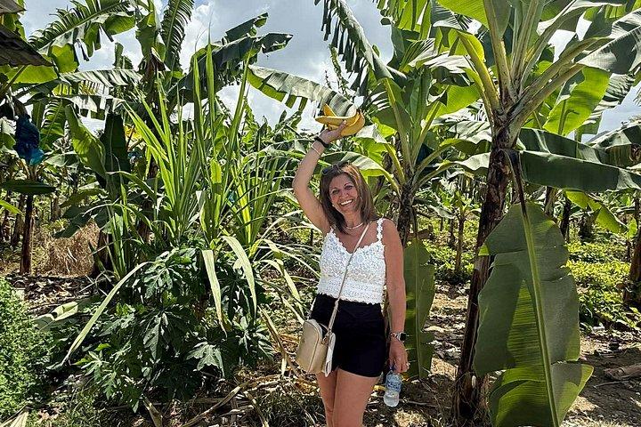 Explore Soufriere Saint Lucia TetPaul, Waterfalls & Mud Baths