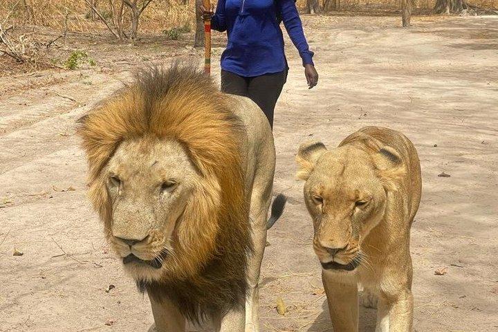 ファサラ野生動物保護区サファリ