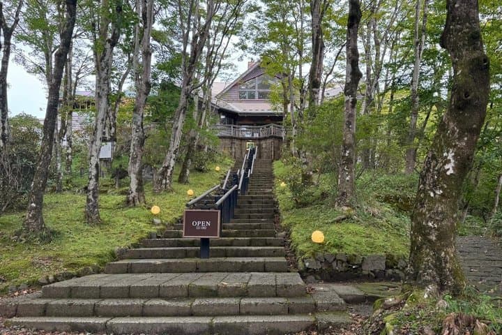 Nikko Private Tour from Tokyo - Temples, Nature and Hidden Gems