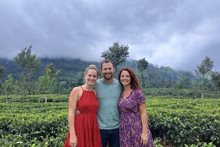 Tour privato dello Sri Lanka di 8 giorni con hotel Viaggio in treno e Safari