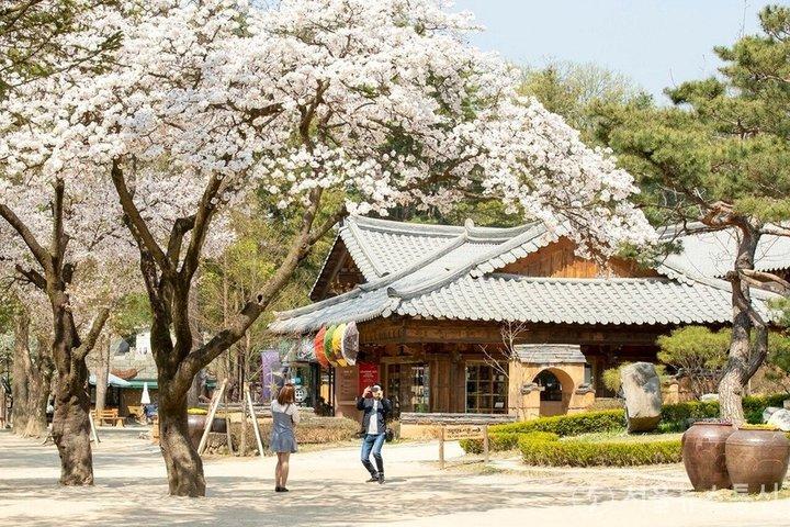 Seoul Pick up: Nami Island och Chuncheon - Engelska eller Spanska