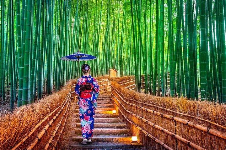 京都・奈良カスタマイズ可能豪華プライベート日帰りツアードライバーガイド
