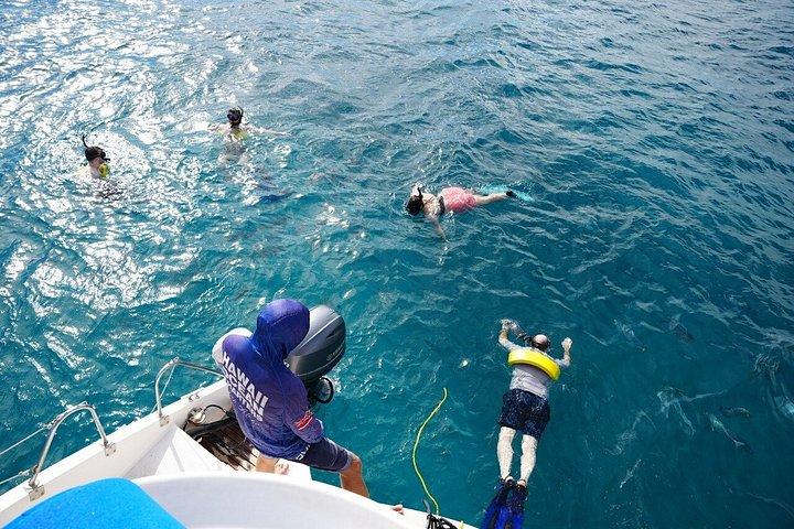 Privat katamaran krydstogt og snorkeltur i Honolulu