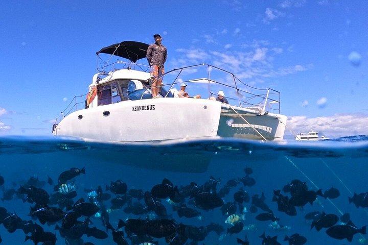 Privat katamaran krydstogt og snorkeltur i Honolulu