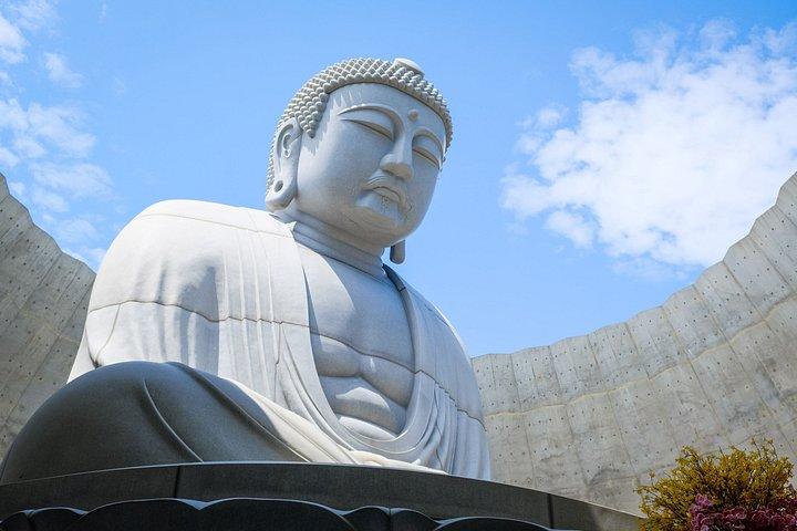 北海道神宮と小樽のハイライト日帰り旅行（札幌発）