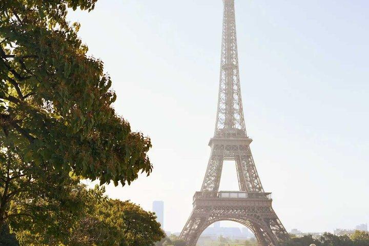 Eiffel Tower Small Group Tour By Elevator with Summit Option