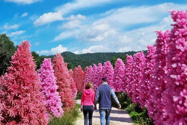 Från Seoul: Dagstur till Pocheon Herb Island och Pigeonang Waterfall