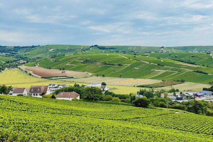 Paris Wine Day Tours exclusive Champagne tour incl. 3 visits