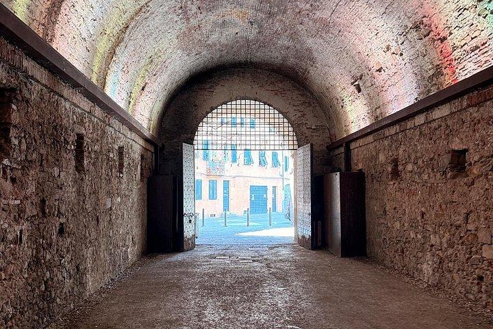 Private Lucca-Pisa Day Trip from Florence with Cathedral Complex